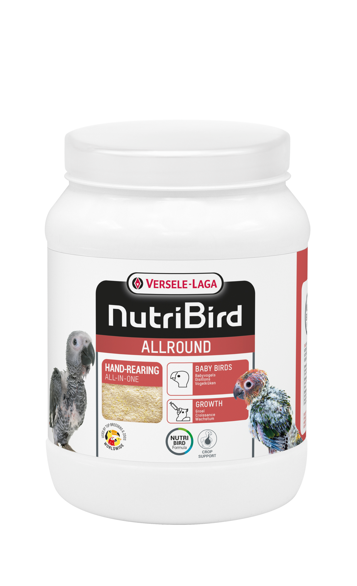 Allround - nourriture d'élevage à la main pour oiseaux