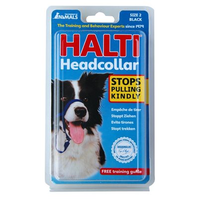 Licou Halti noir - licou pour chien