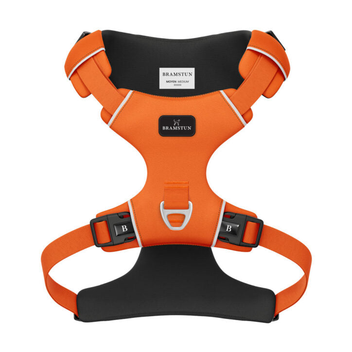 Harnais Horizon pour chien