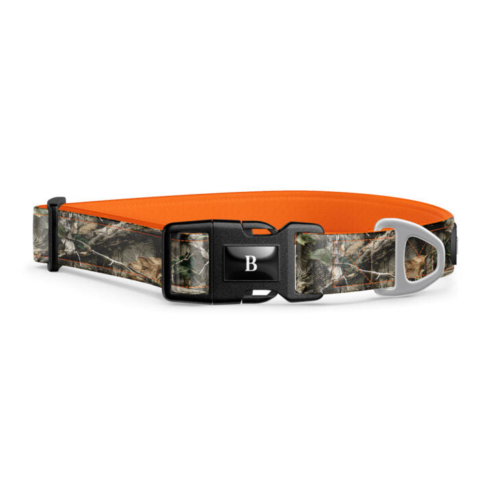 Collier pour chien