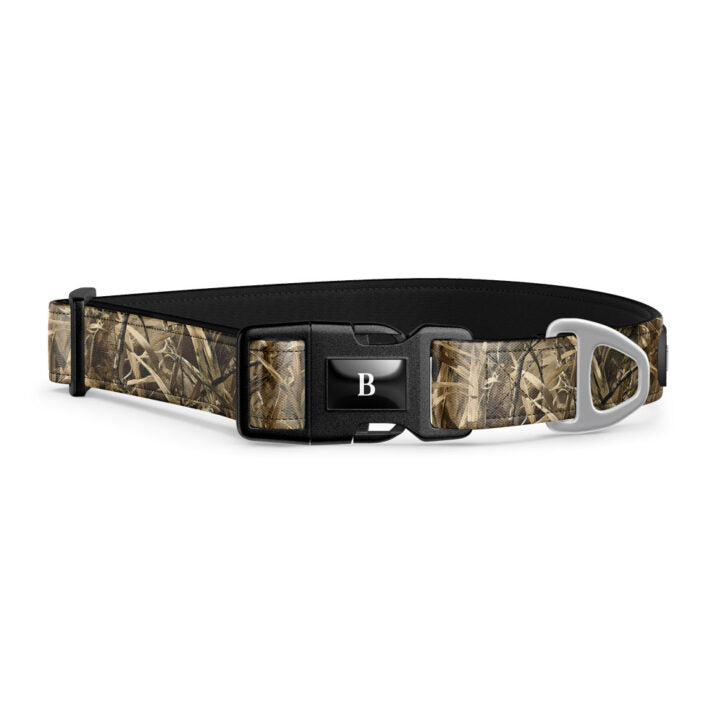 Collier pour chien Bramstun