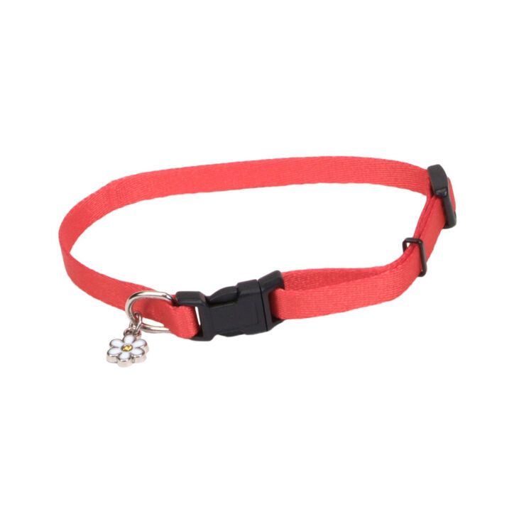 Collier ajustable en nylon pour chiot - Coastal