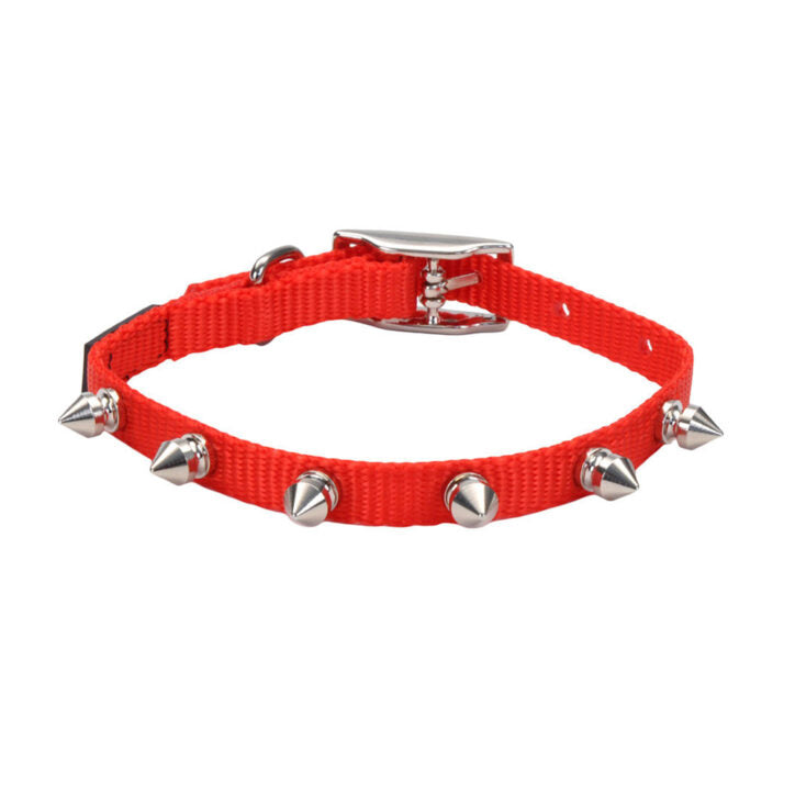 Collier en nylon à pointes pour chiot 3/8 po x 10 po