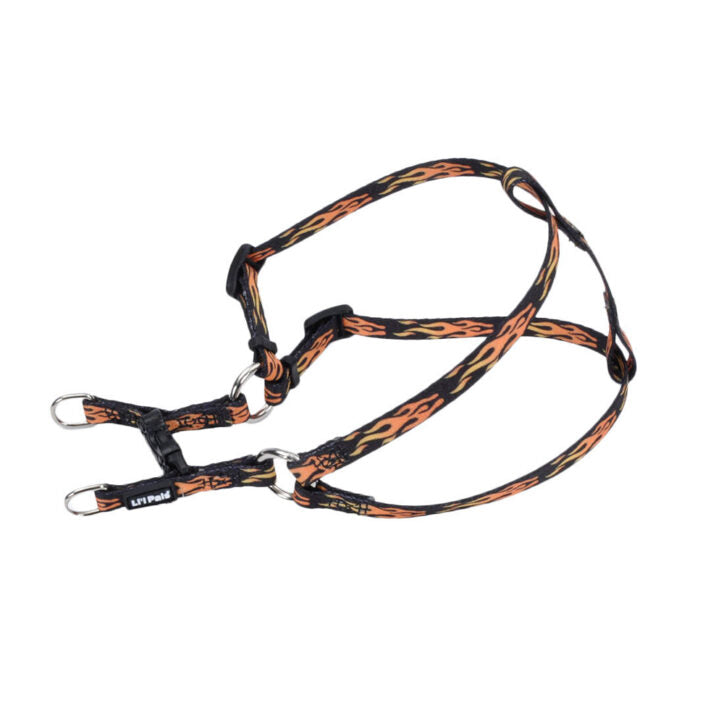 Harnais ajustable pour chien Comfort Wrap Li'l Pals