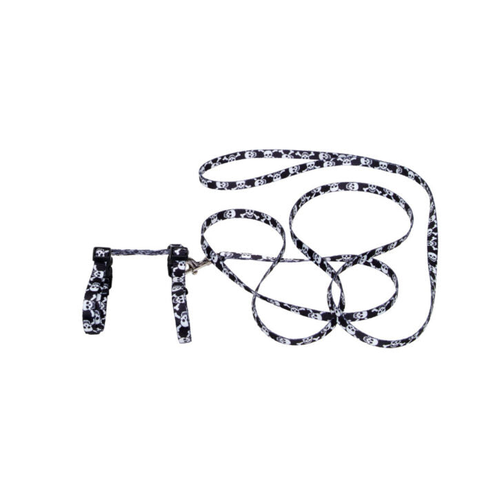 Ensemble harnais et laisse pour chat 3/8 po x 10-18 po