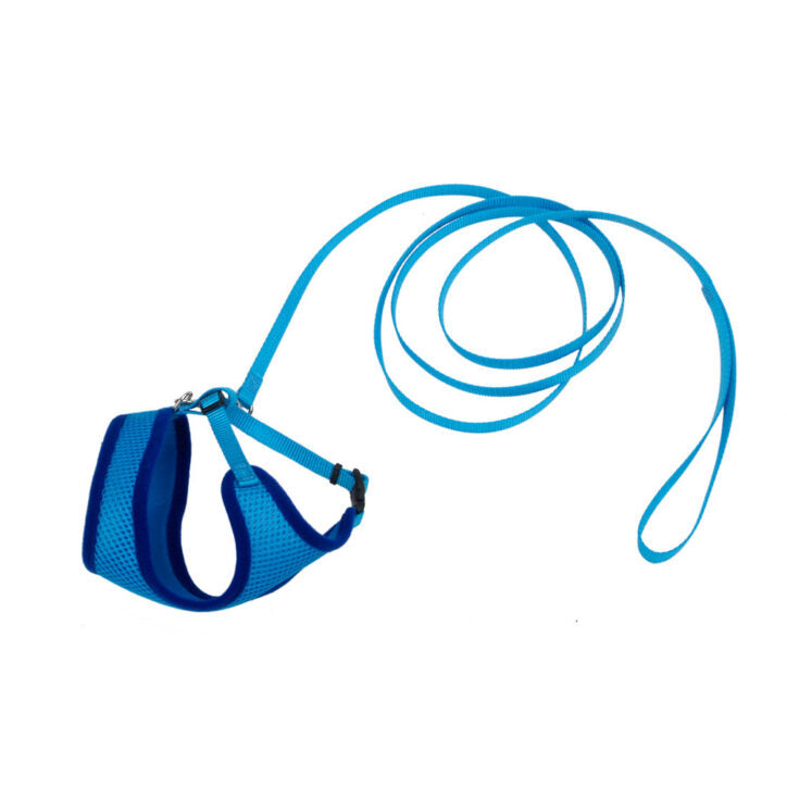 Ensemble harnais ajustable et laisse 6 pi pour chat Comfort Soft