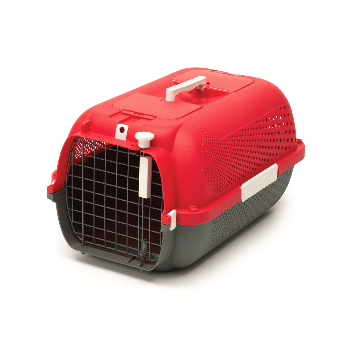 Cage de transport pour chats