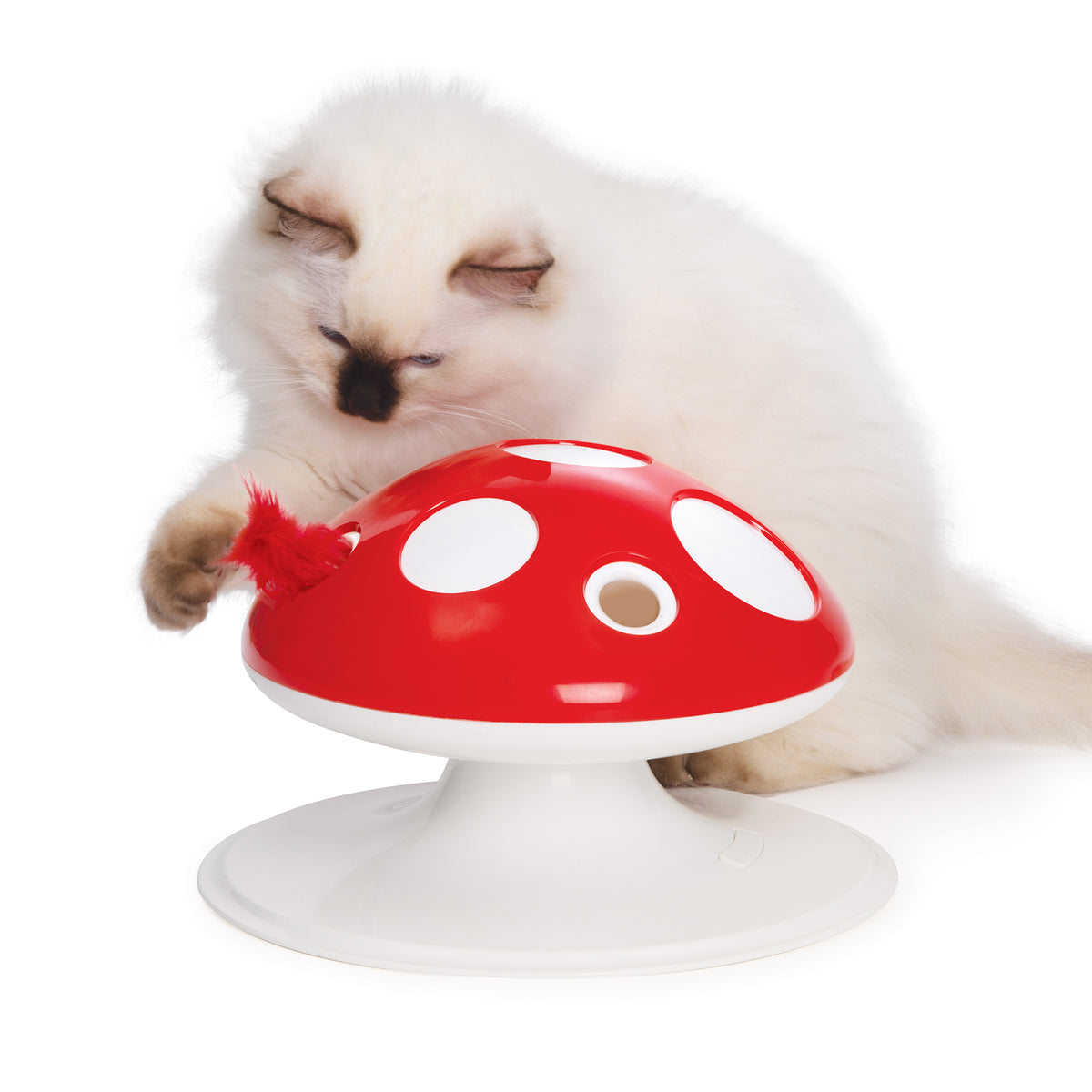 Champignon Senses, jouet interactif pour chats