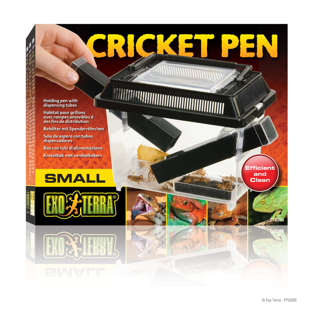 Habitat pour grillons Cricket Pen