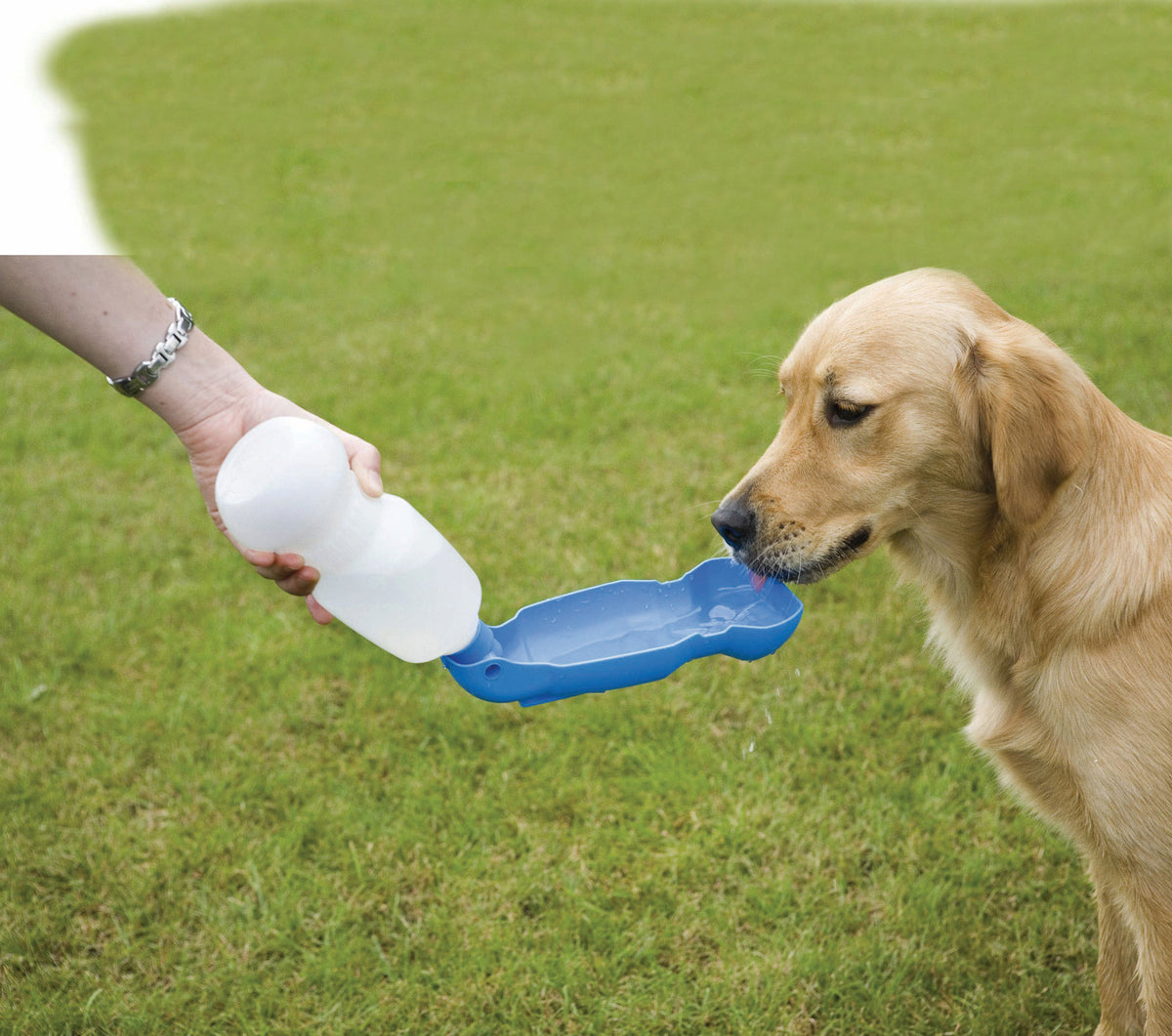 Aqua Boy - bouteille d'eau de voyage pour chien