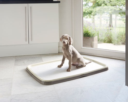 Puppy Trainer - support de tapis éducateur pour chien