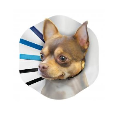 Collier de protection EZ-Clear - collier de protection pour chien et chat