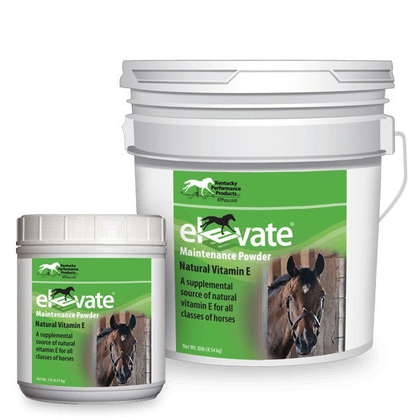 Supplément Elevate de vitamine E en poudre pour cheval 907 g