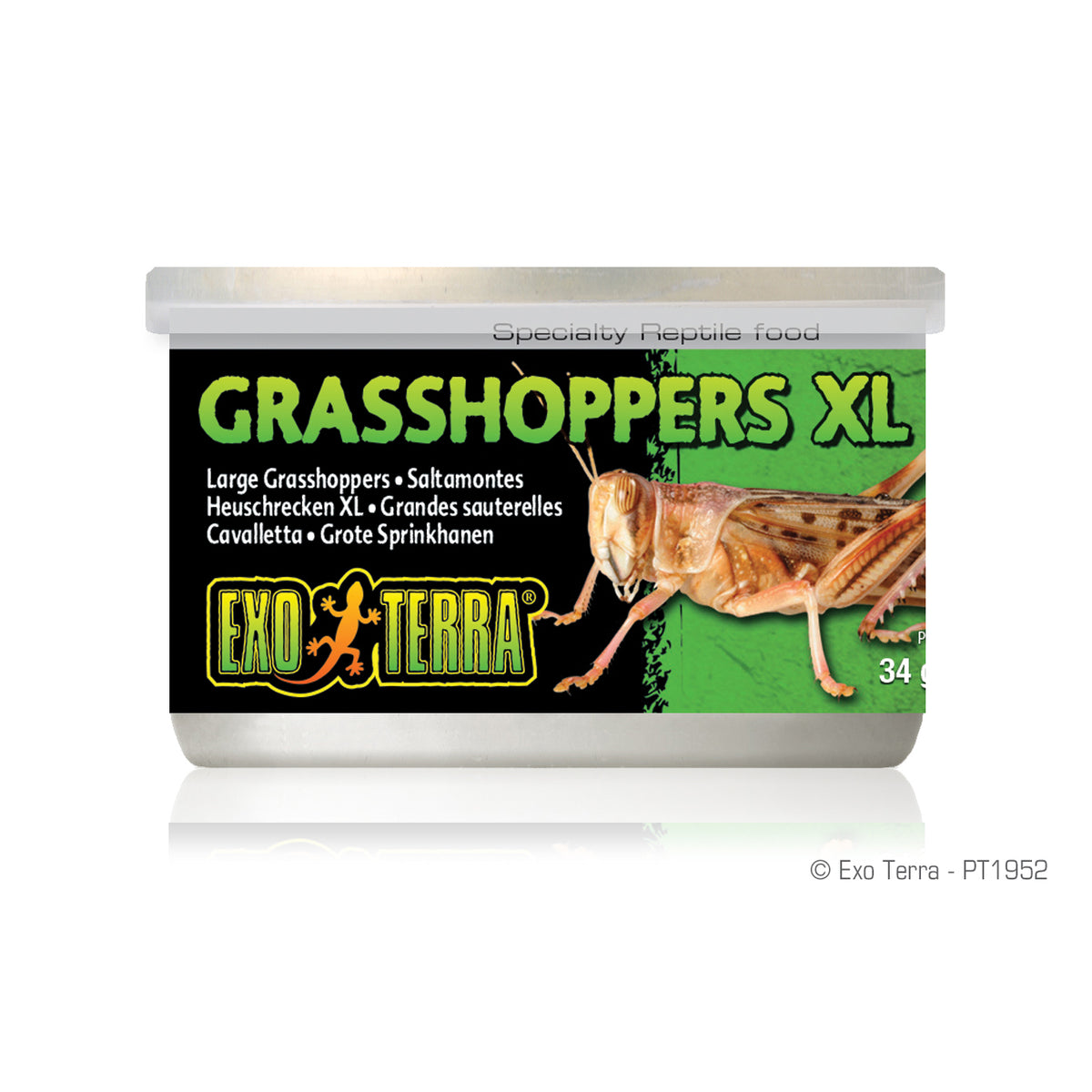 Conserve aux sauterelles très grandes pour reptile 34 g