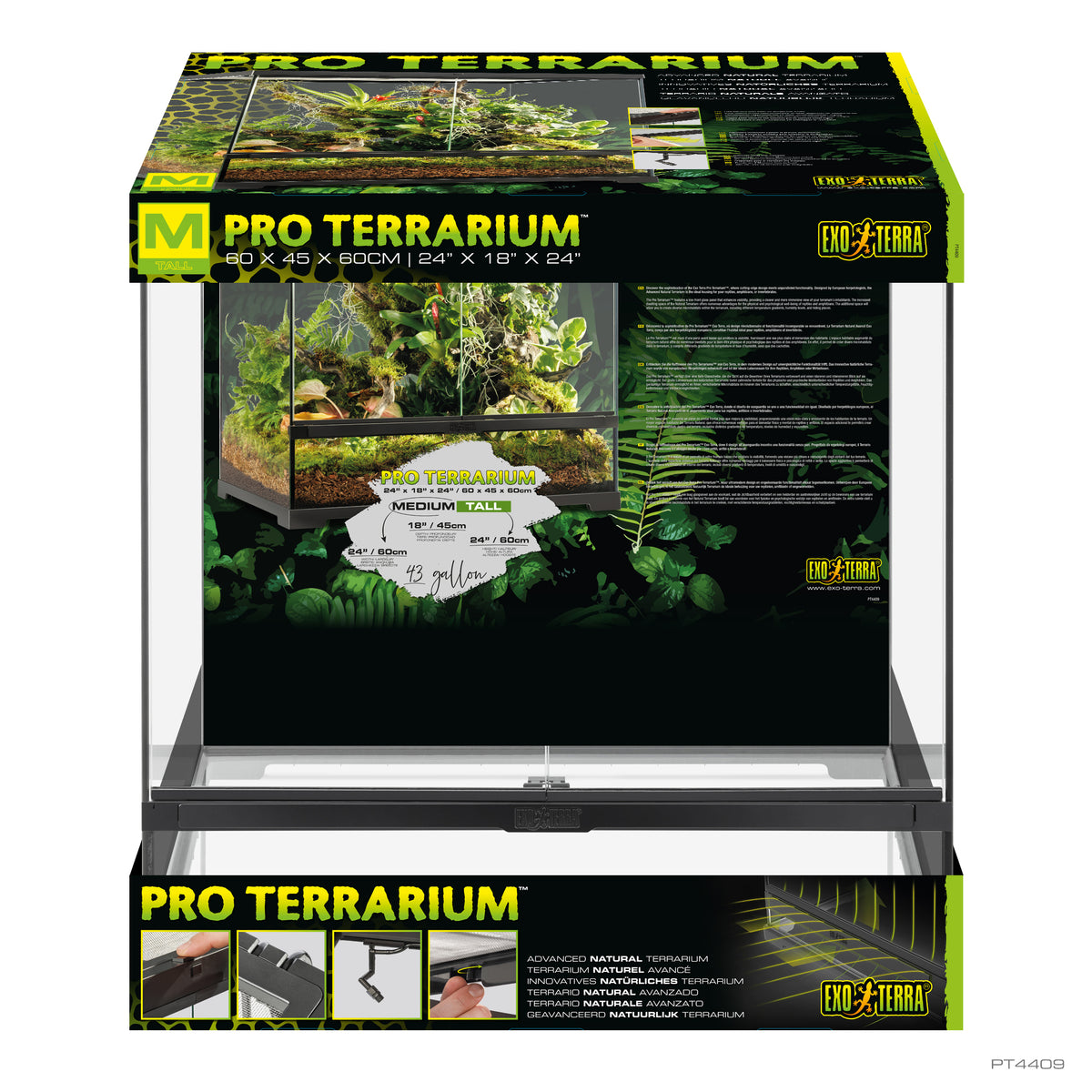 Terrarium professionnel, habitat avancé naturel