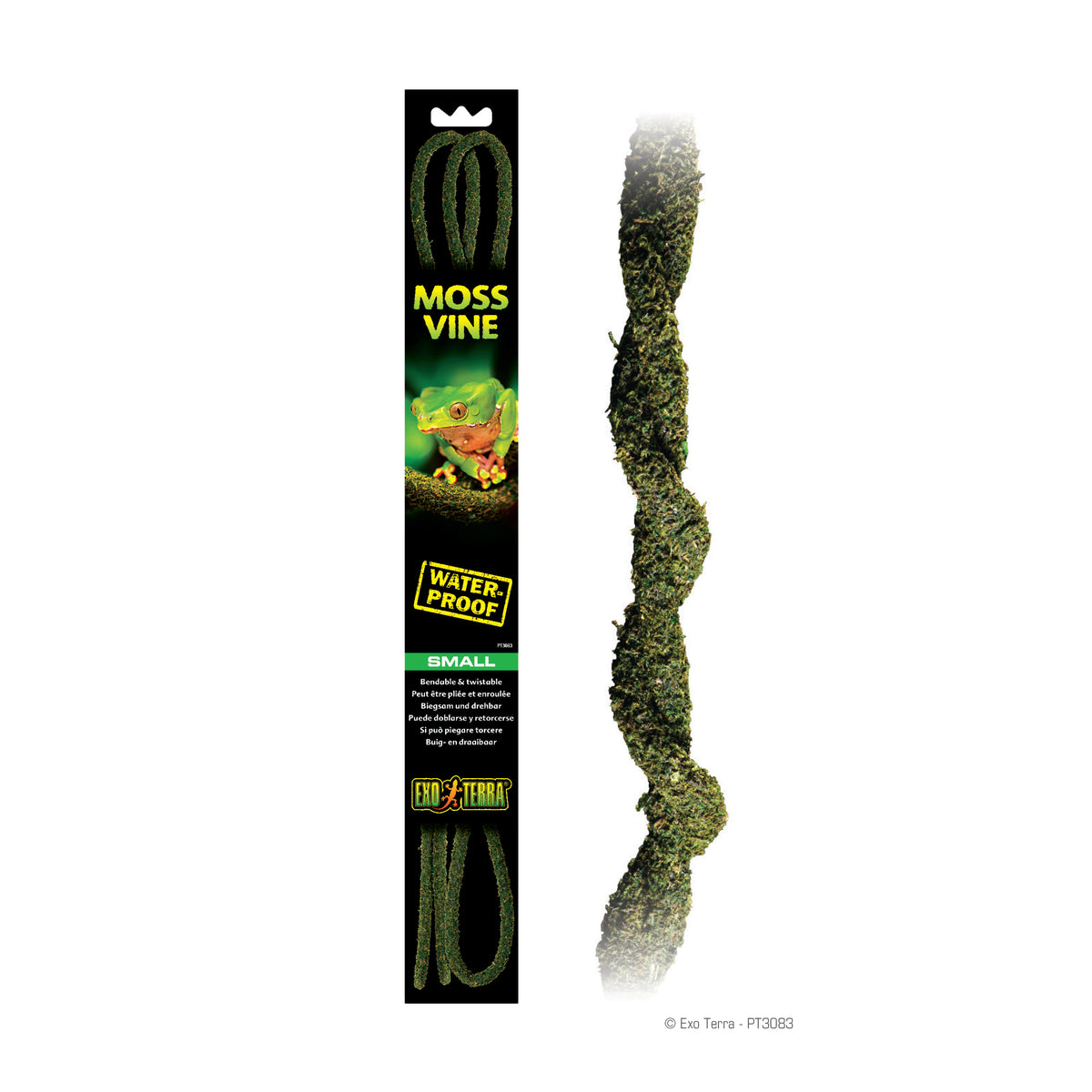 Liane de mousse Moss Vine