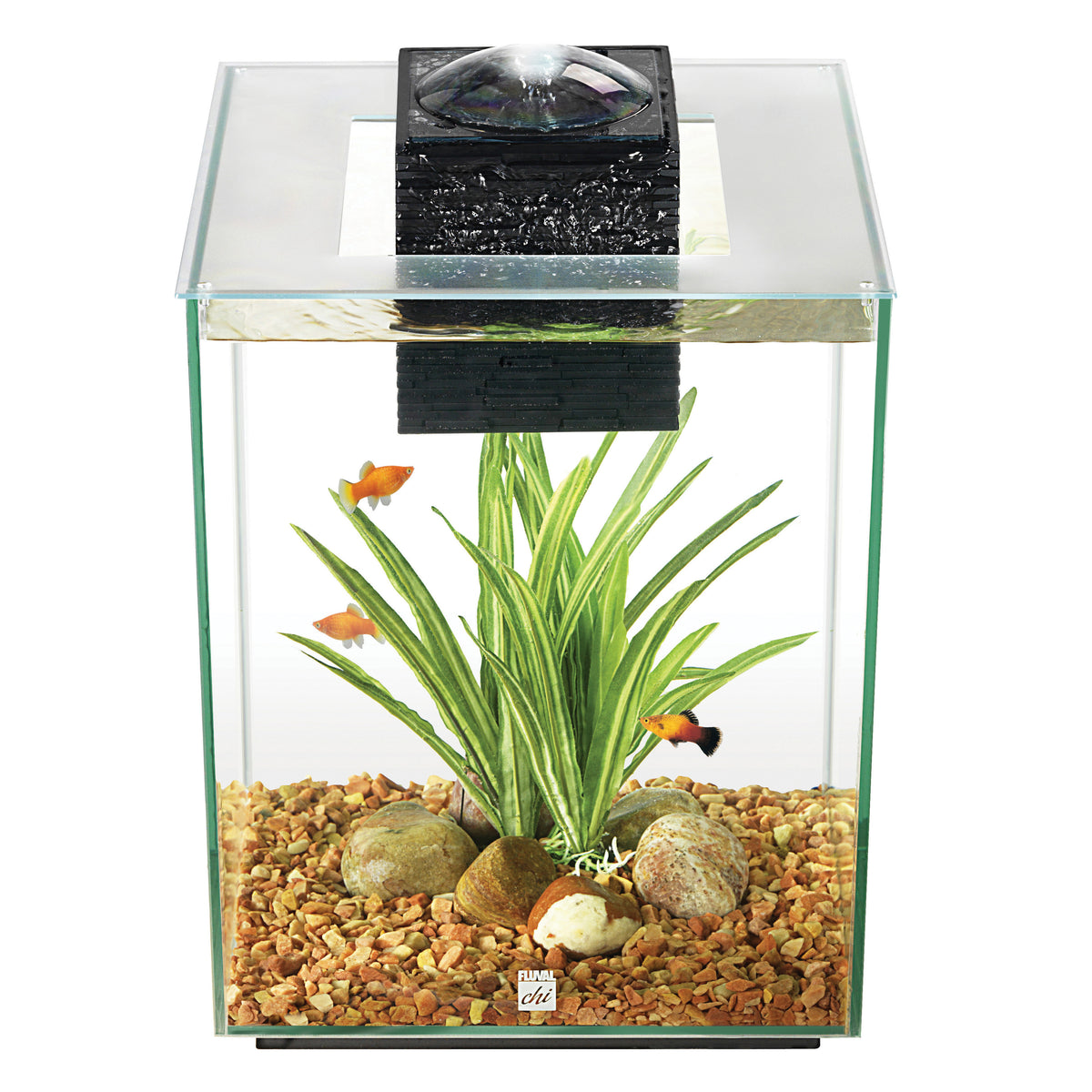 Aquarium équipé Chi II 19 L