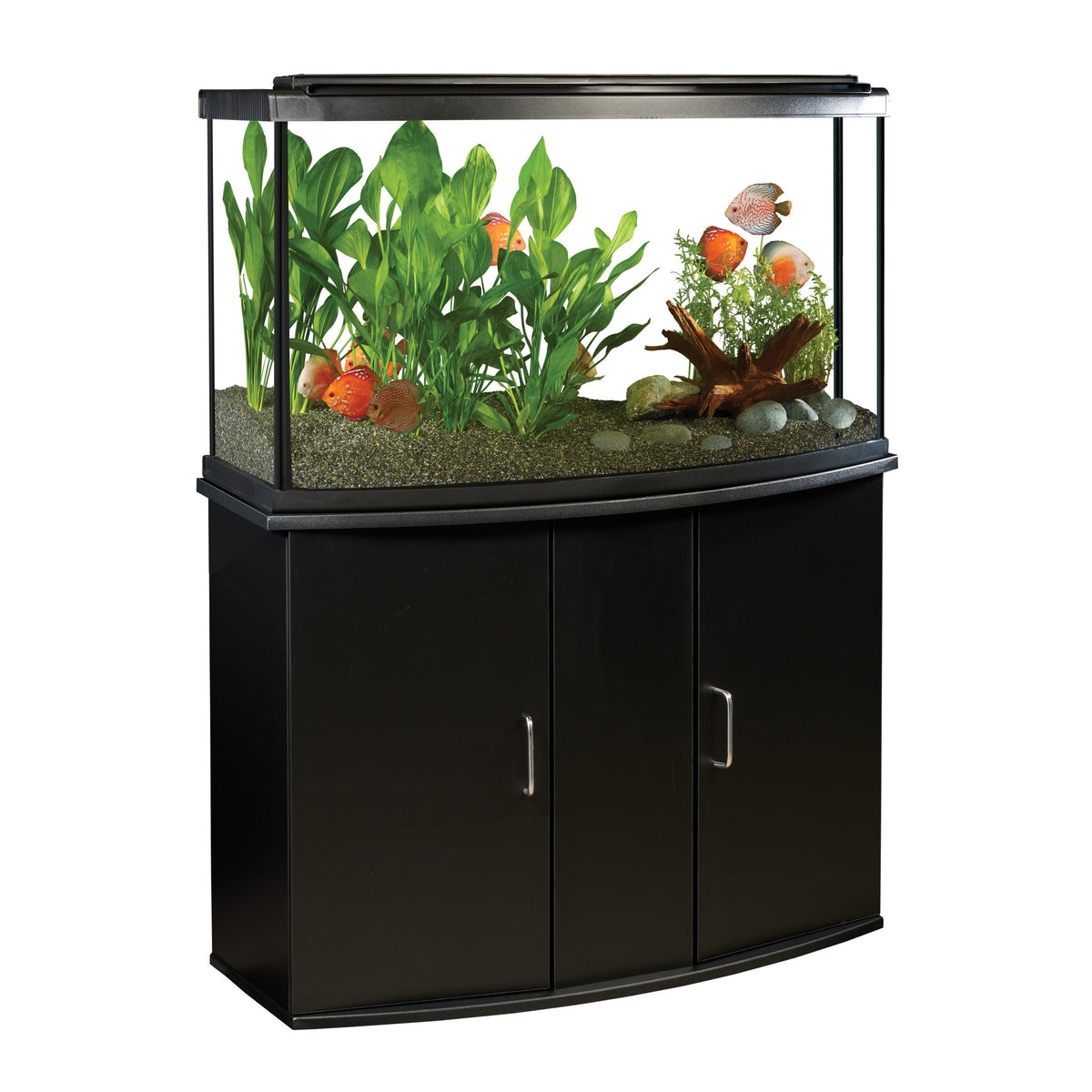 Aquarium équipé haut de gamme 45 à devant arrondi avec éclairage à DEL 170 L