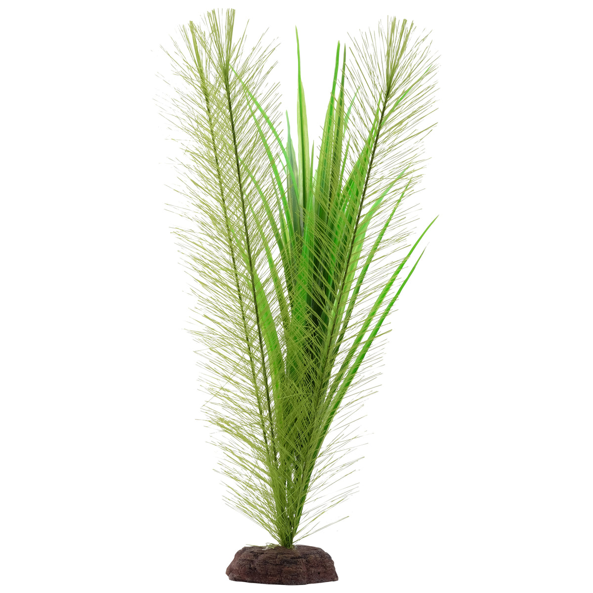 Myriophylle brésilien vert et vallisnérie Plant Scapes Aqualife