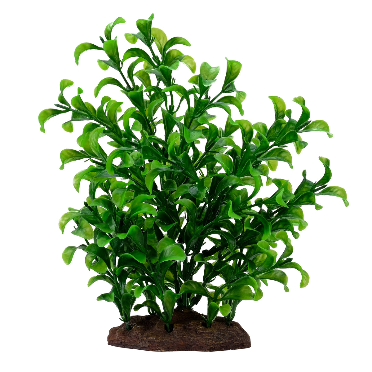 Bacopa Plant Scapes Aqualife, grande, 20 cm