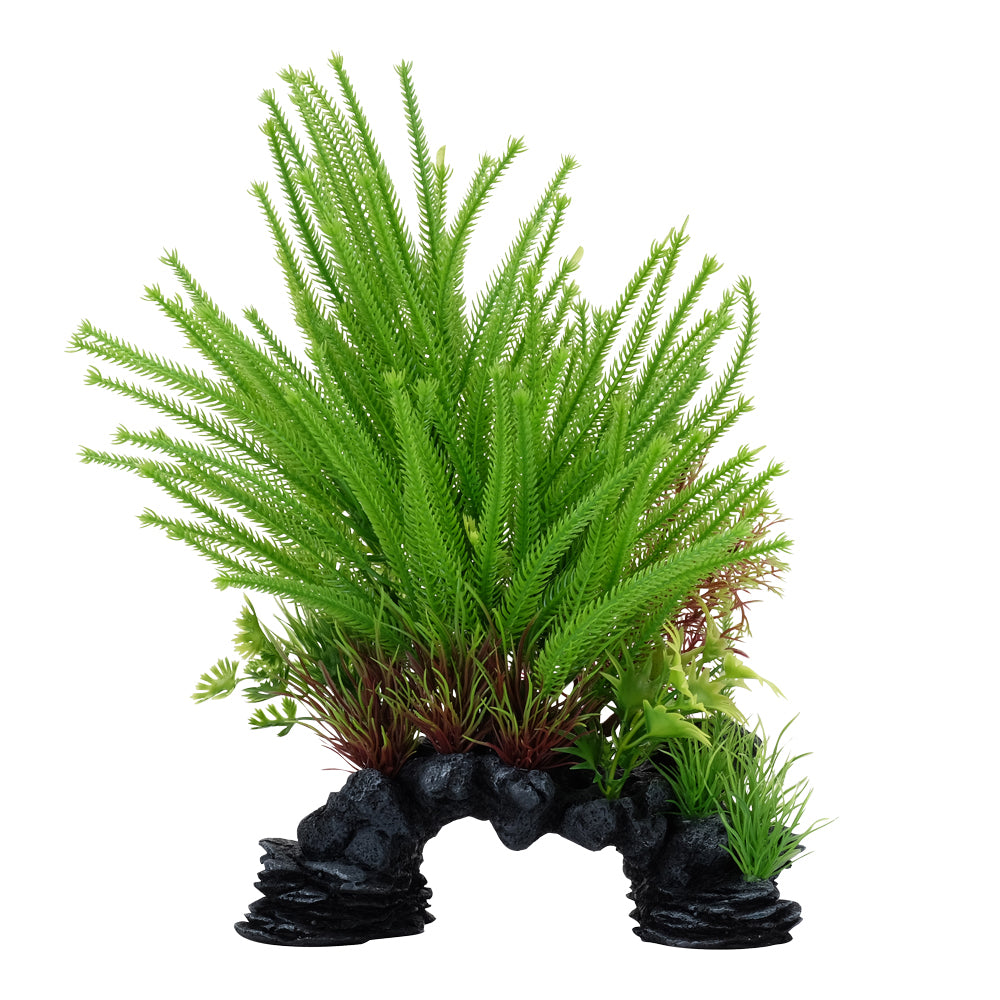 Lycopode obscur Deco Scapes Aqualife, 25,5 cm