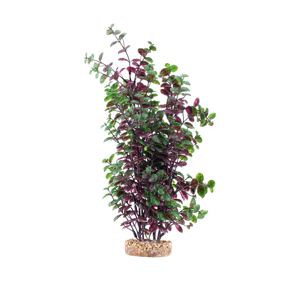 Bacopa rouge Plant Scapes Aqualife, 35,5 cm