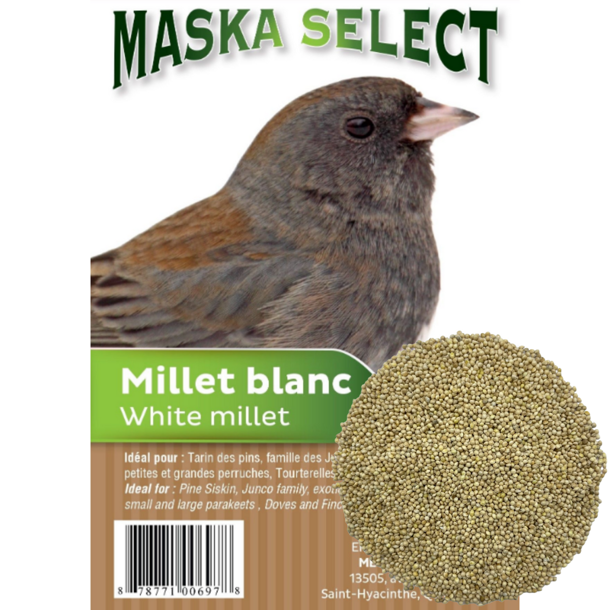 Millet blanc Maska