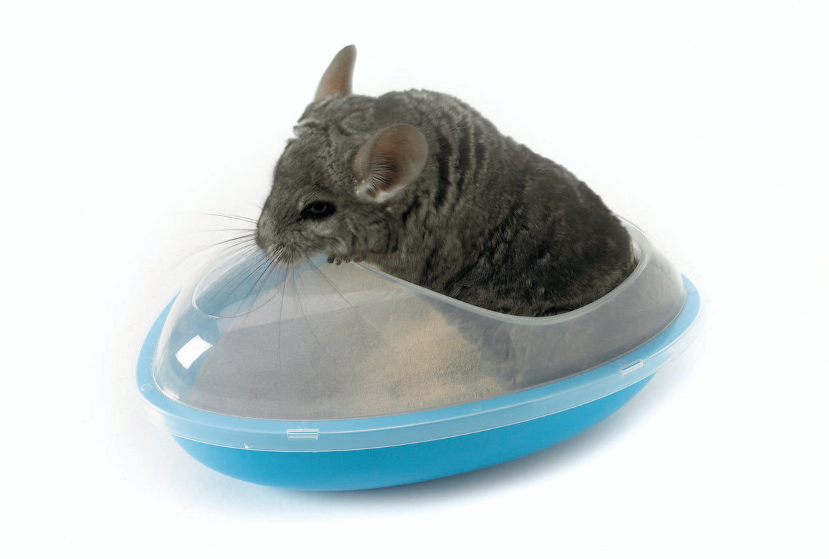 Bain pour chinchilla