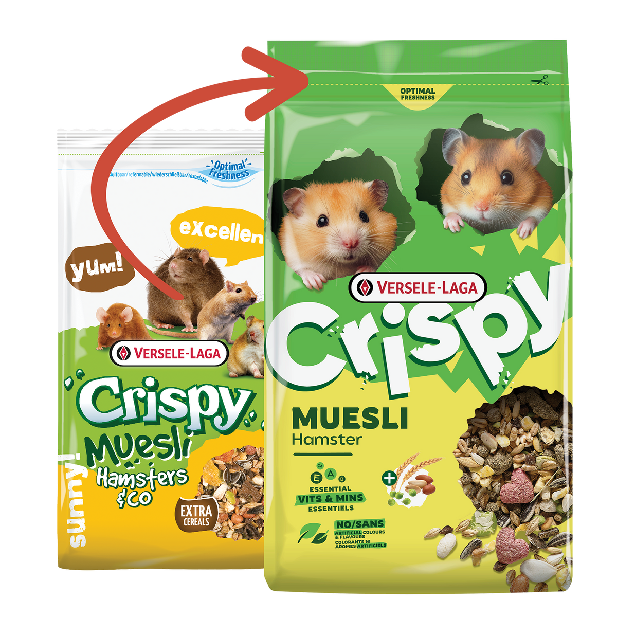 Muesli pour hamster et compagnie