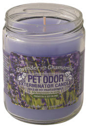 Chandelle enzymatique Holly Molly