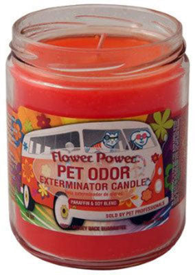 Chandelle enzymatique Holly Molly