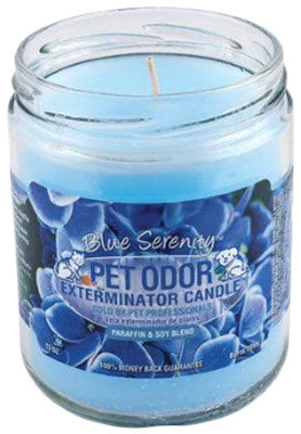 Chandelle enzymatique Holly Molly