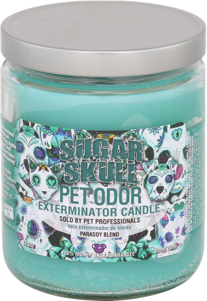 Chandelle enzymatique Holly Molly