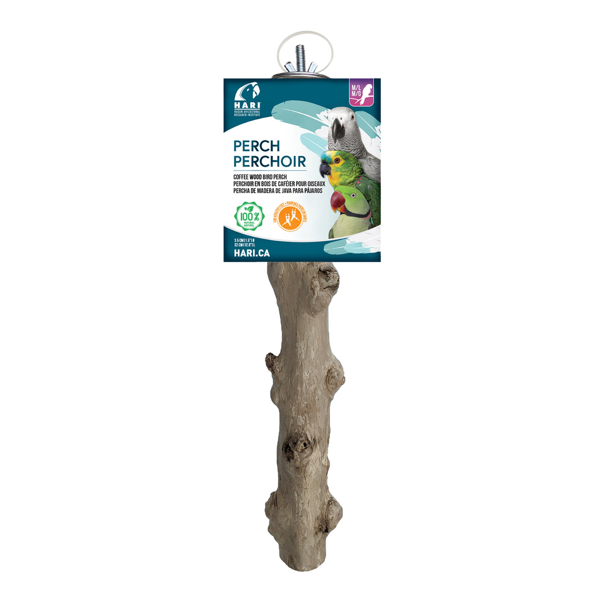 Perchoir en bois de caféier pour perroquets