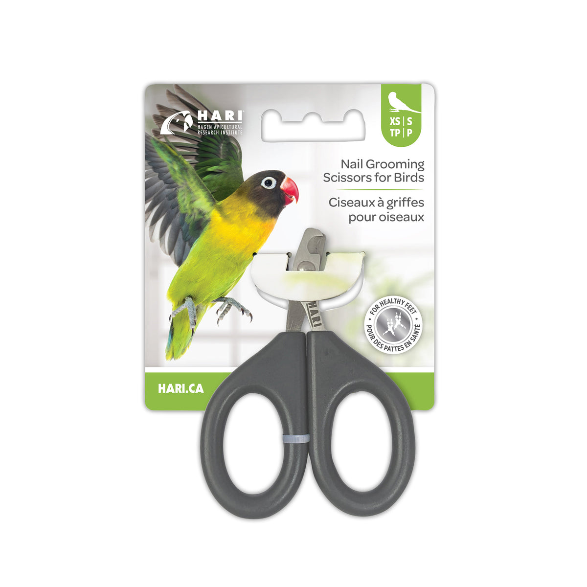 Ciseaux à griffes pour oiseau - HARI
