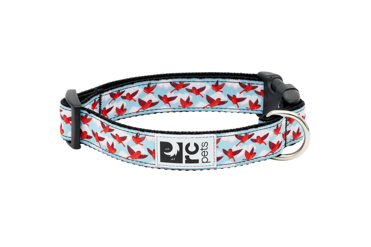 Collier à motifs pour chien - RC Pets