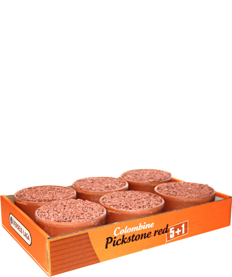 Pickstone pierre à picorer rouge - supplément pour pigeons