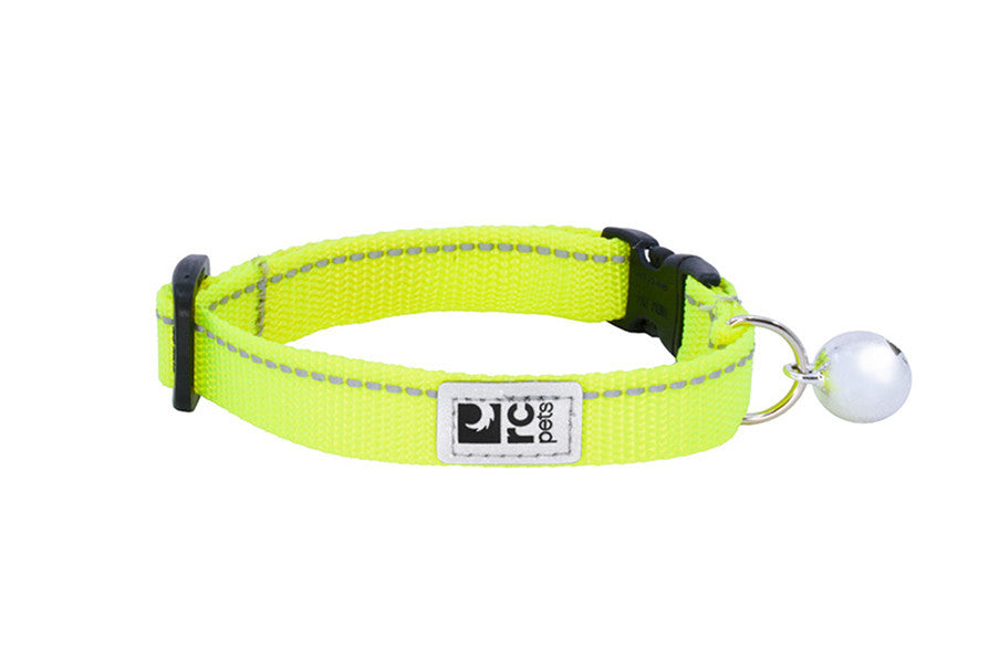 Collier sécuritaire de base pour chat