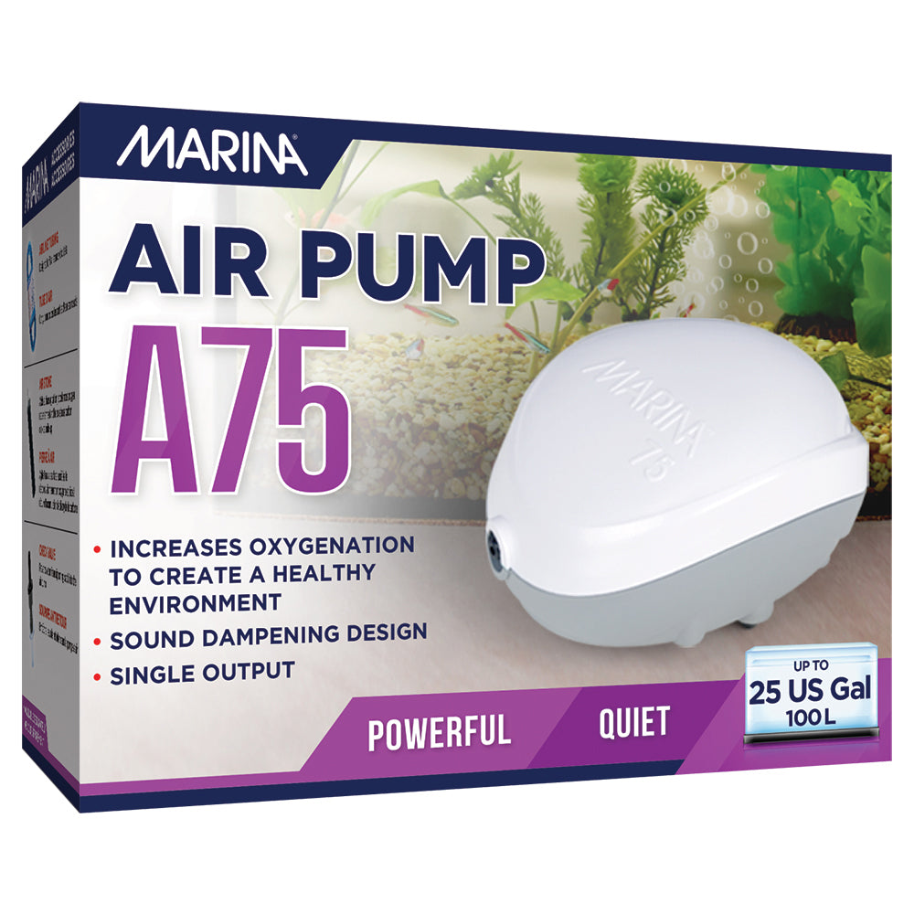 Pompe à air pour aquarium