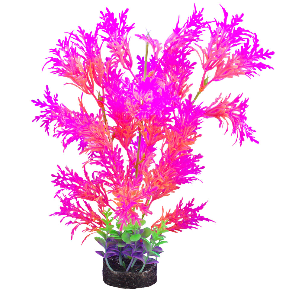 Plante iGlo, 32 cm