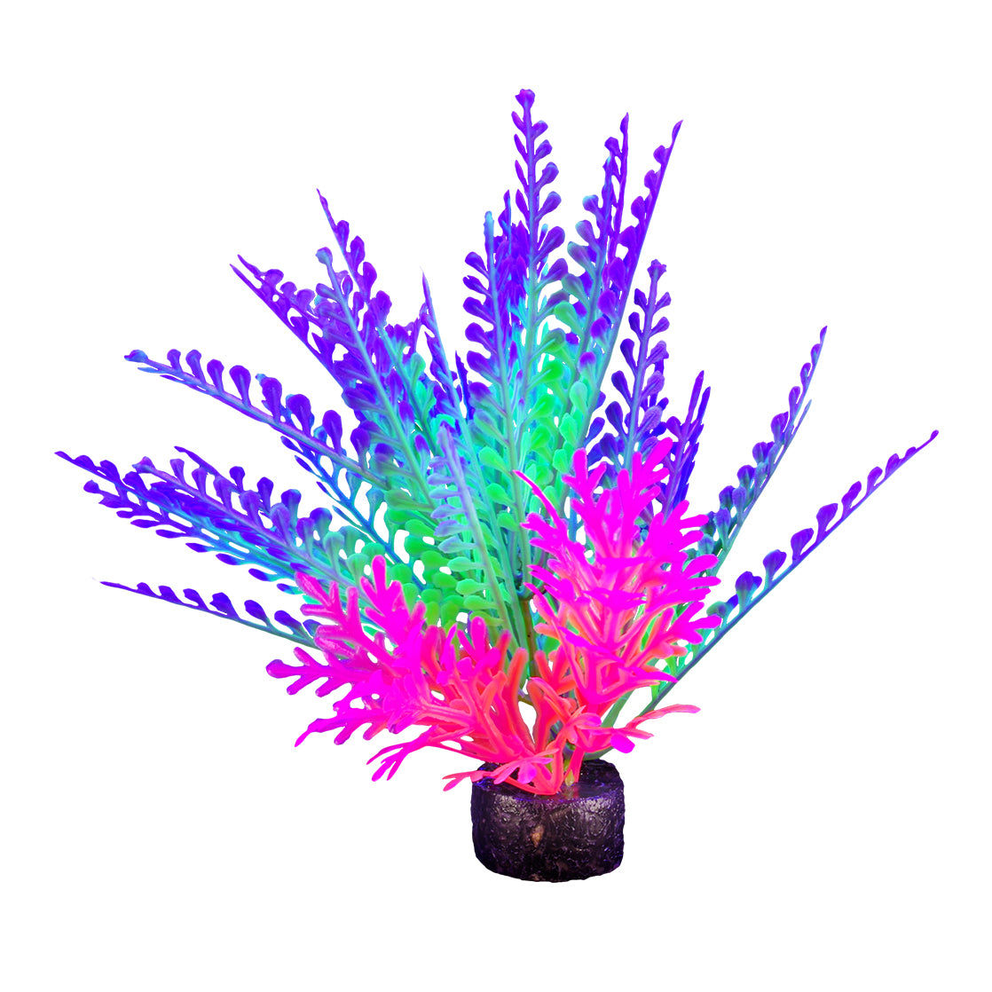 Plante iGlo, 14 cm (PP1018)