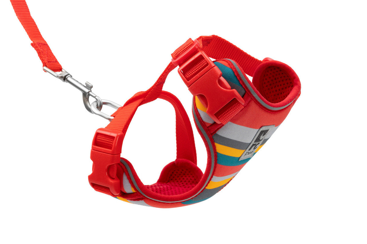 Harnais aventure pour chat - RC Pets