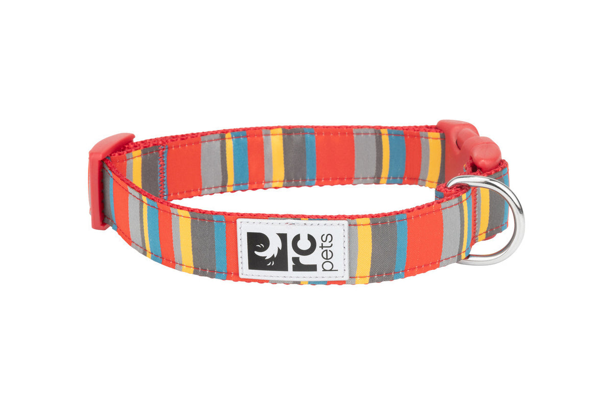 Collier à motifs pour chien - RC Pets