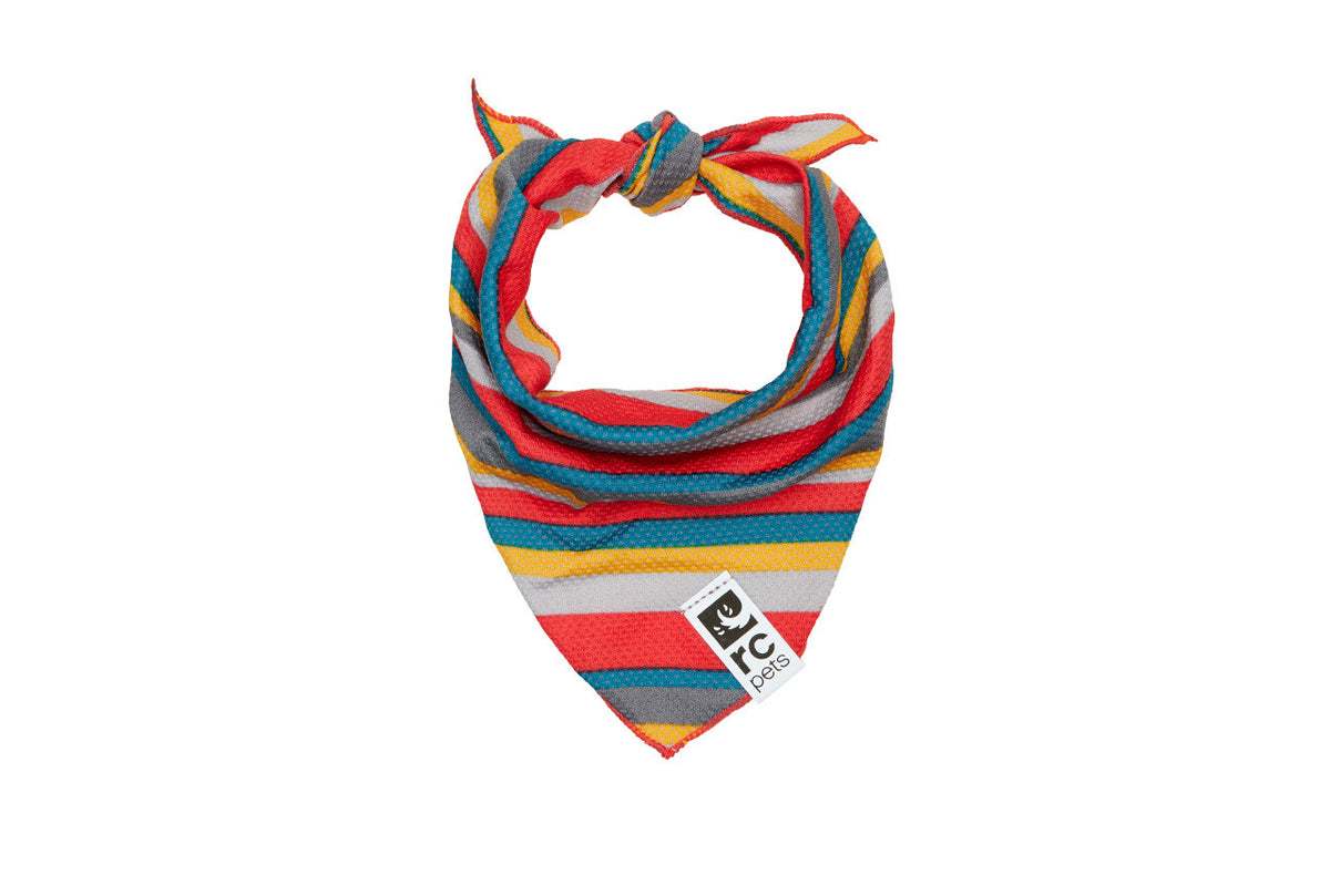 Bandana rafraîchissant Zephyr pour chien - RC Pets