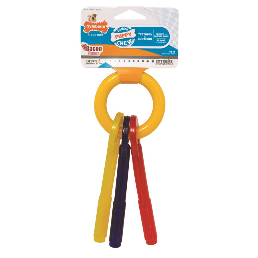 Clés de dentition Puppy Chew pour chiot - Nylabone