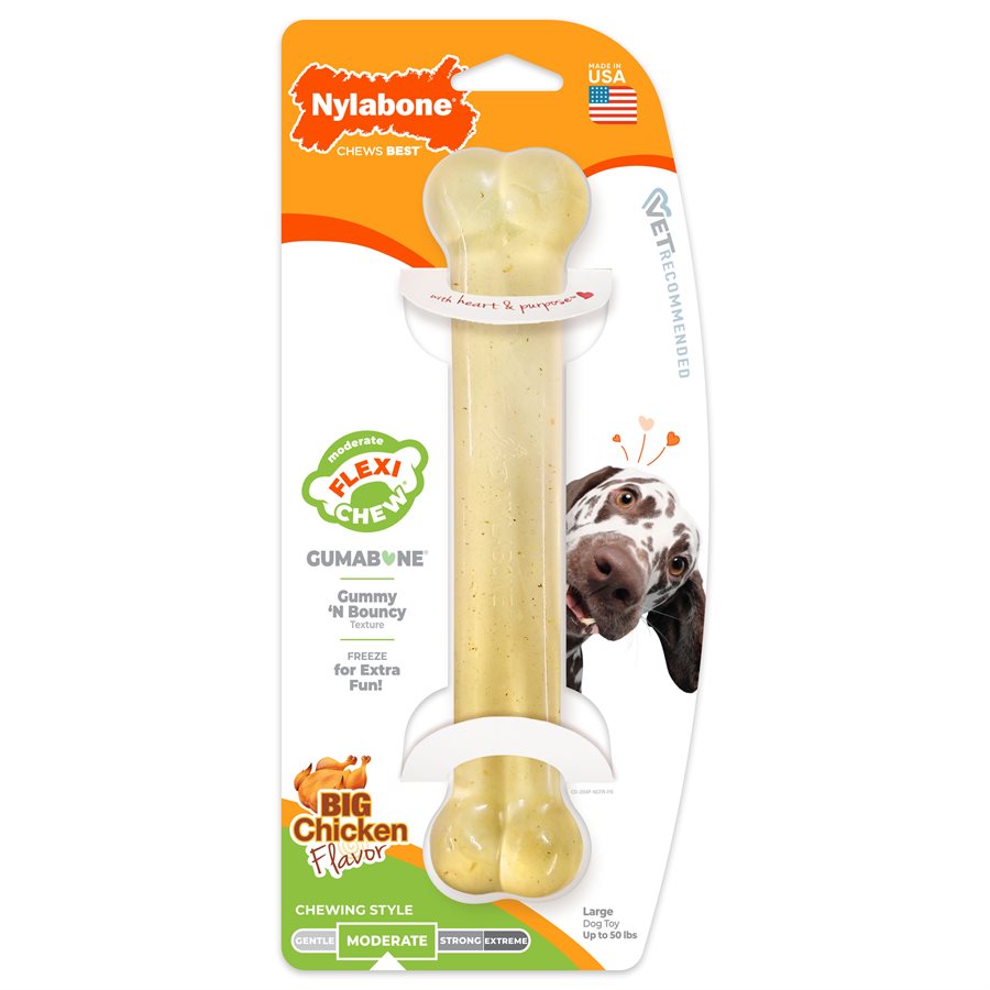 Os à mâcher Moderate Chew souple saveur de poulet pour chien - Nylabone