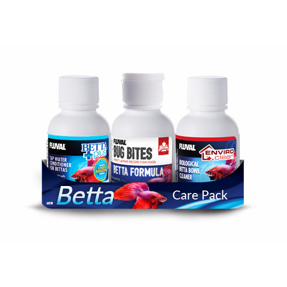 Trousse de départ pour bettas