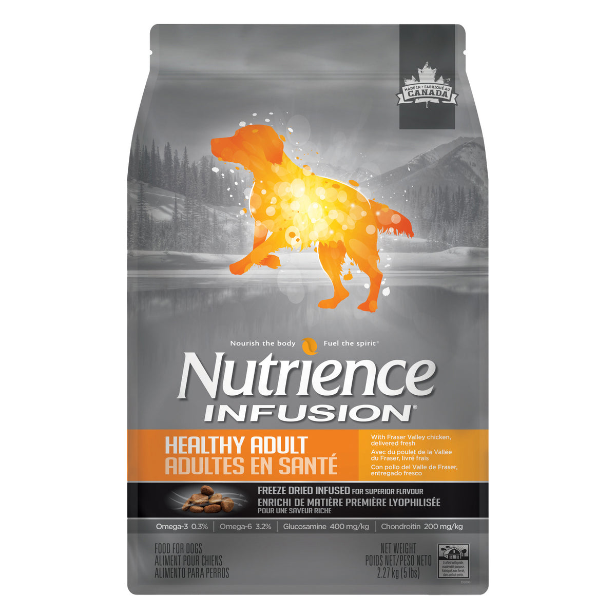 Nourriture sèche Infusion pour chiens adultes en santé