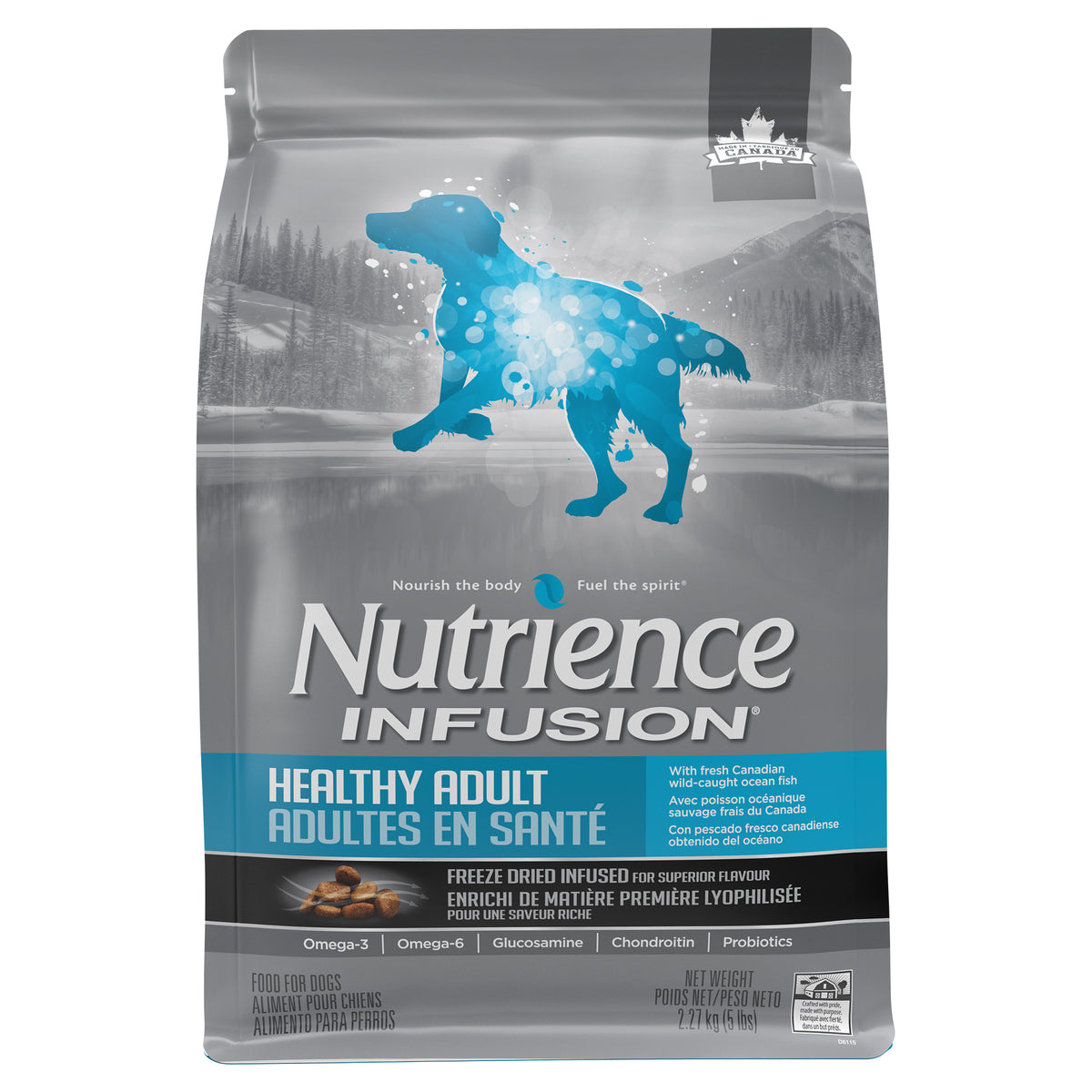 Nourriture sèche Infusion pour chiens adultes en santé