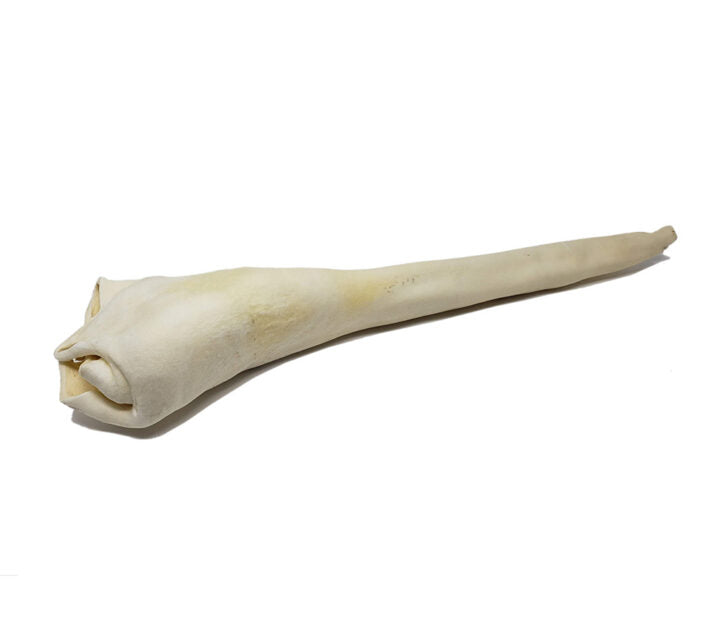 Queue de bœuf